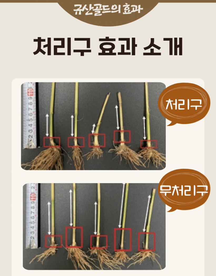 b8396be96d041ae7de185c3d31b7418f_1780991607_5869.png