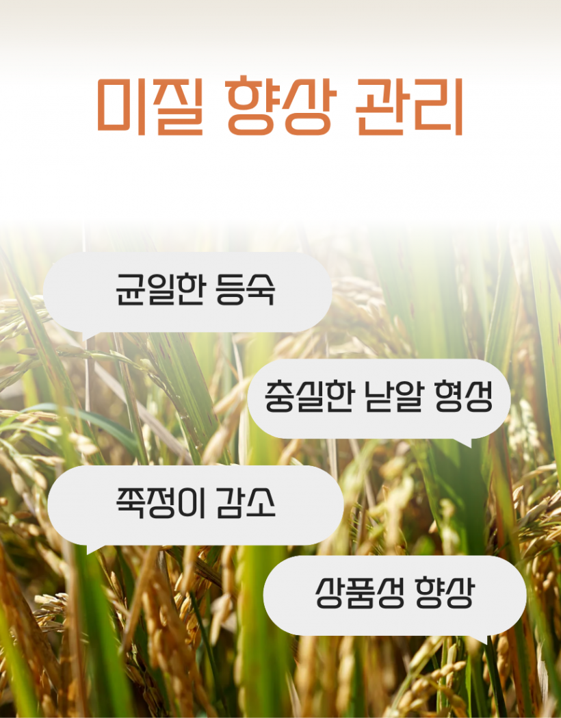 b8396be96d041ae7de185c3d31b7418f_1780991612_0404.png