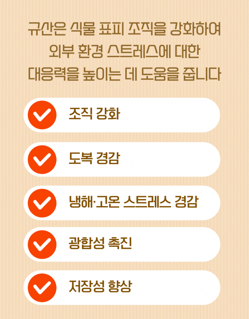 2b82fd2f3e9daf0b46758d86af7e6a57_1783070753_81.png