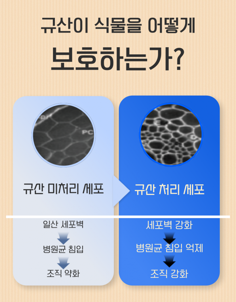 2b82fd2f3e9daf0b46758d86af7e6a57_1783070753_9692.png