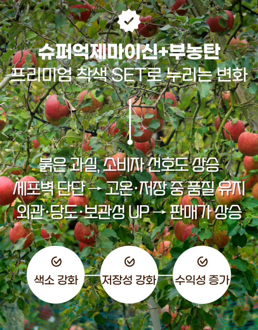 dd755792e06b179226c507474c253c77_1784704675_2842.png