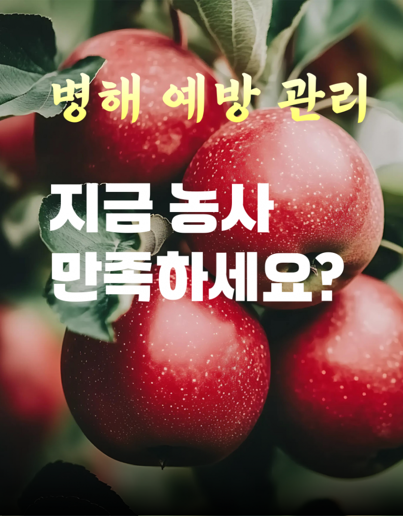 e52d7e045c79b379c2290639fdc46355_1783421682_5932.png