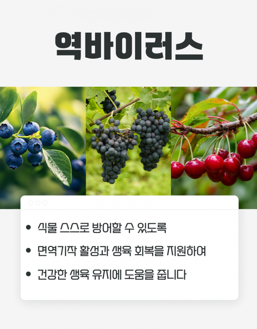 e52d7e045c79b379c2290639fdc46355_1783421683_3796.png