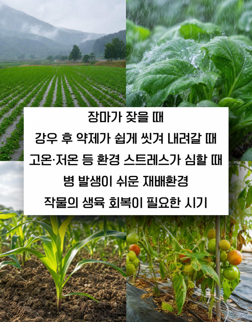 e52d7e045c79b379c2290639fdc46355_1783421694_9045.png