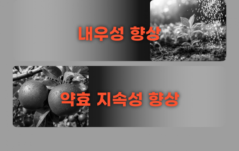 e52d7e045c79b379c2290639fdc46355_1783421695_1739.png
