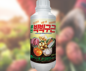 [융전] 빅빅구근 500ml 액제 [15,000원]