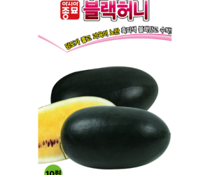 [아시아종묘] 수박-블랙허니 10립 200립